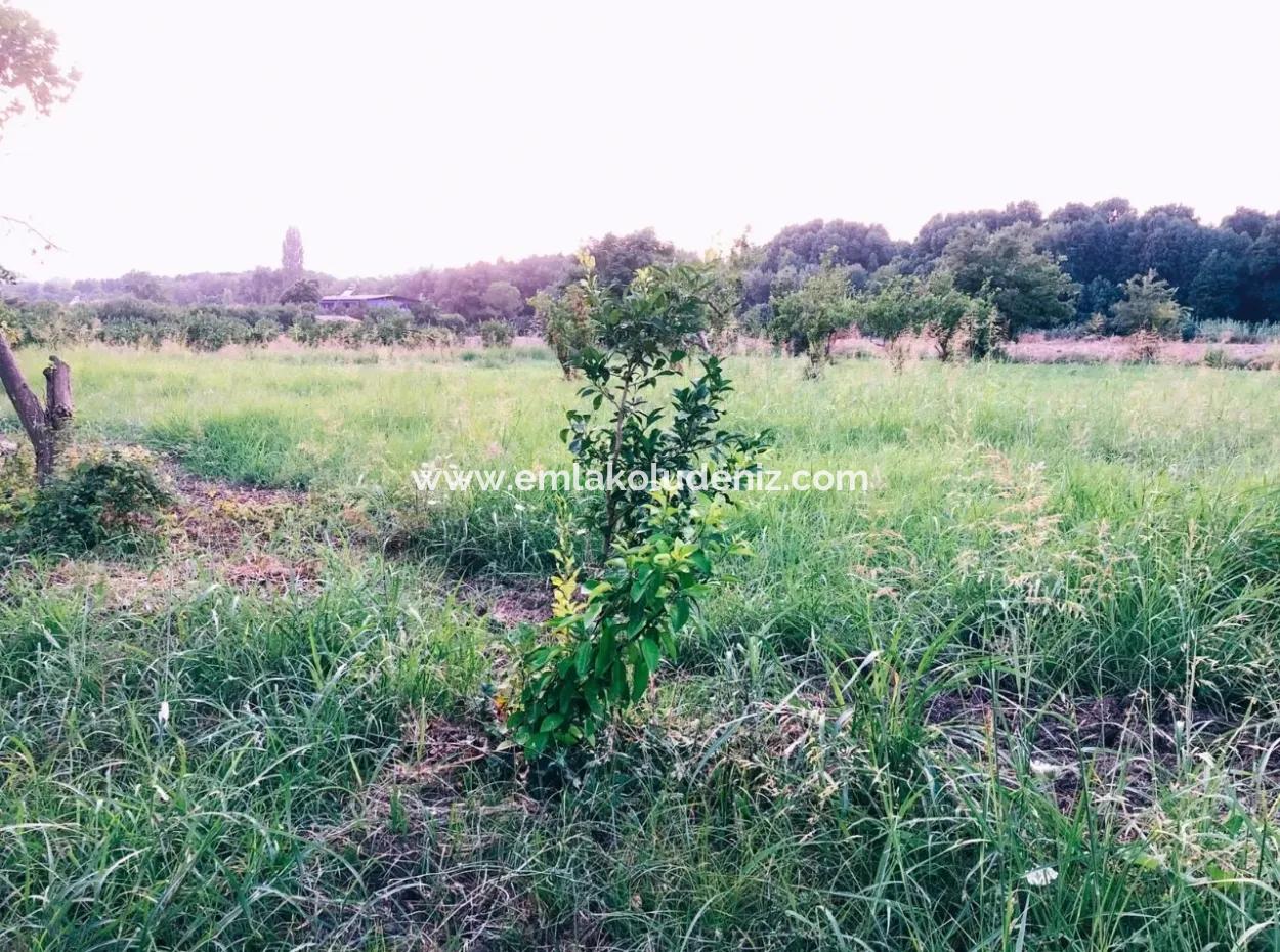 Archer In The Archers Plot For Sale For Sale In Marmarli 1,500M2 Plot For Sale