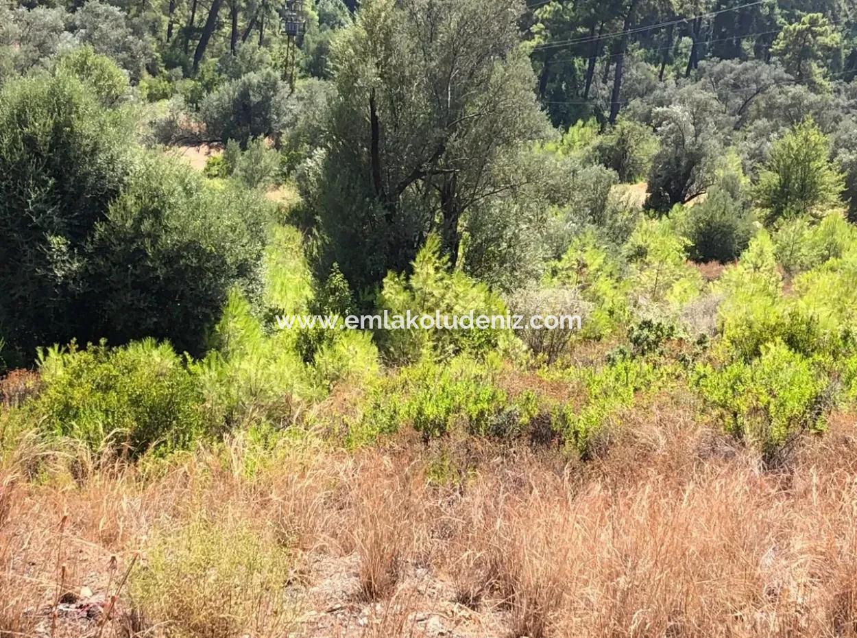 Tourism Zoned Land For Sale In Gocek With Sea Views For Sale In Gocek