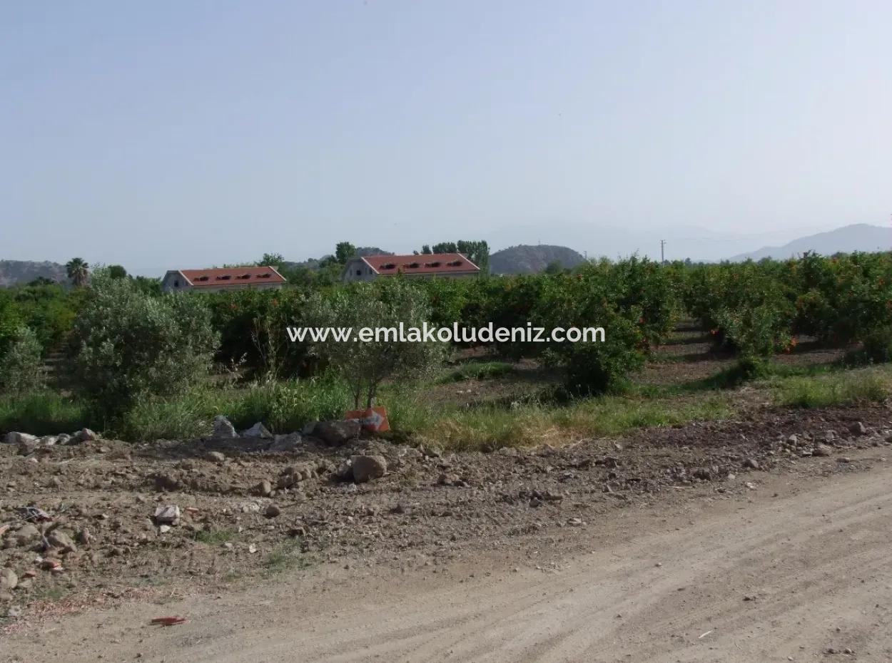 Merkez Dalyan Iztuzu Lake Garden Villa For Sale