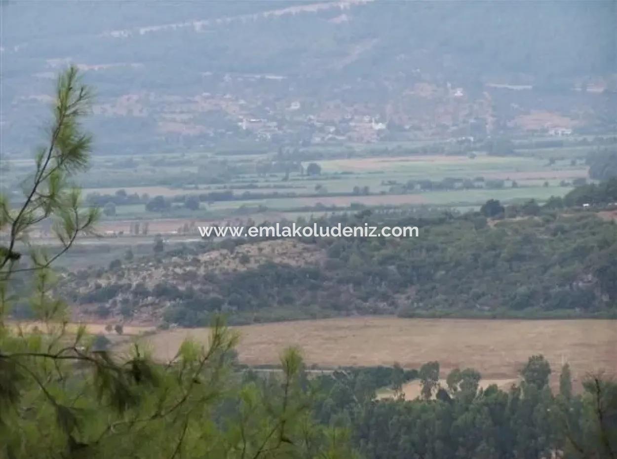 Gökçe Gökçe 21671M2 Farm For Sale For Sale