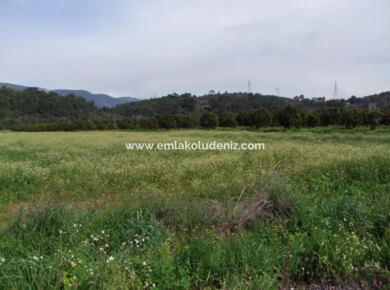 In Akyaka For Sale: Land For Sale Farm For Sale A Farm Near The Sea Of Ars, Yatirimlik 21625M2