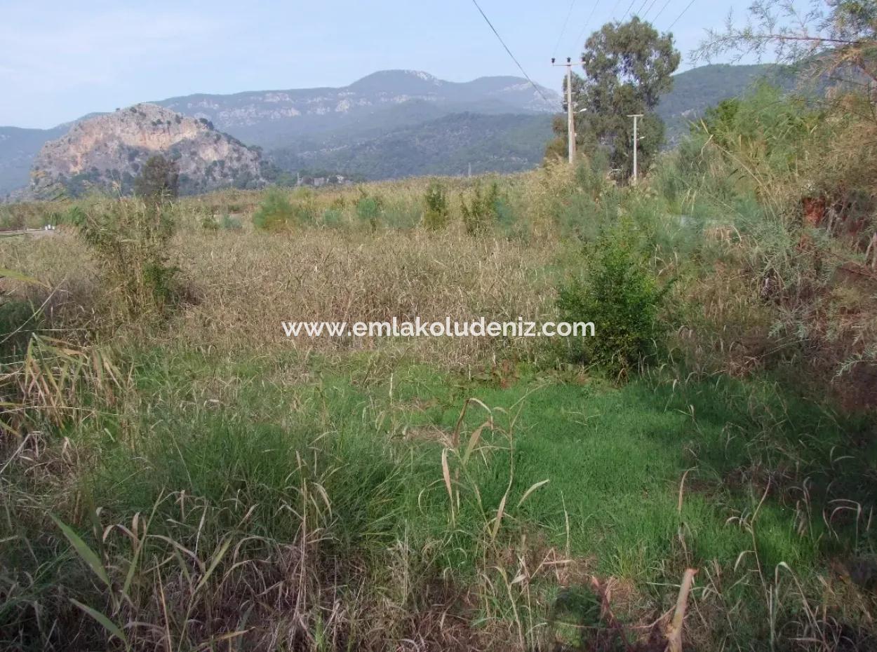 For Sale Land In Dalyan For Sale Dalyan Channel Zero