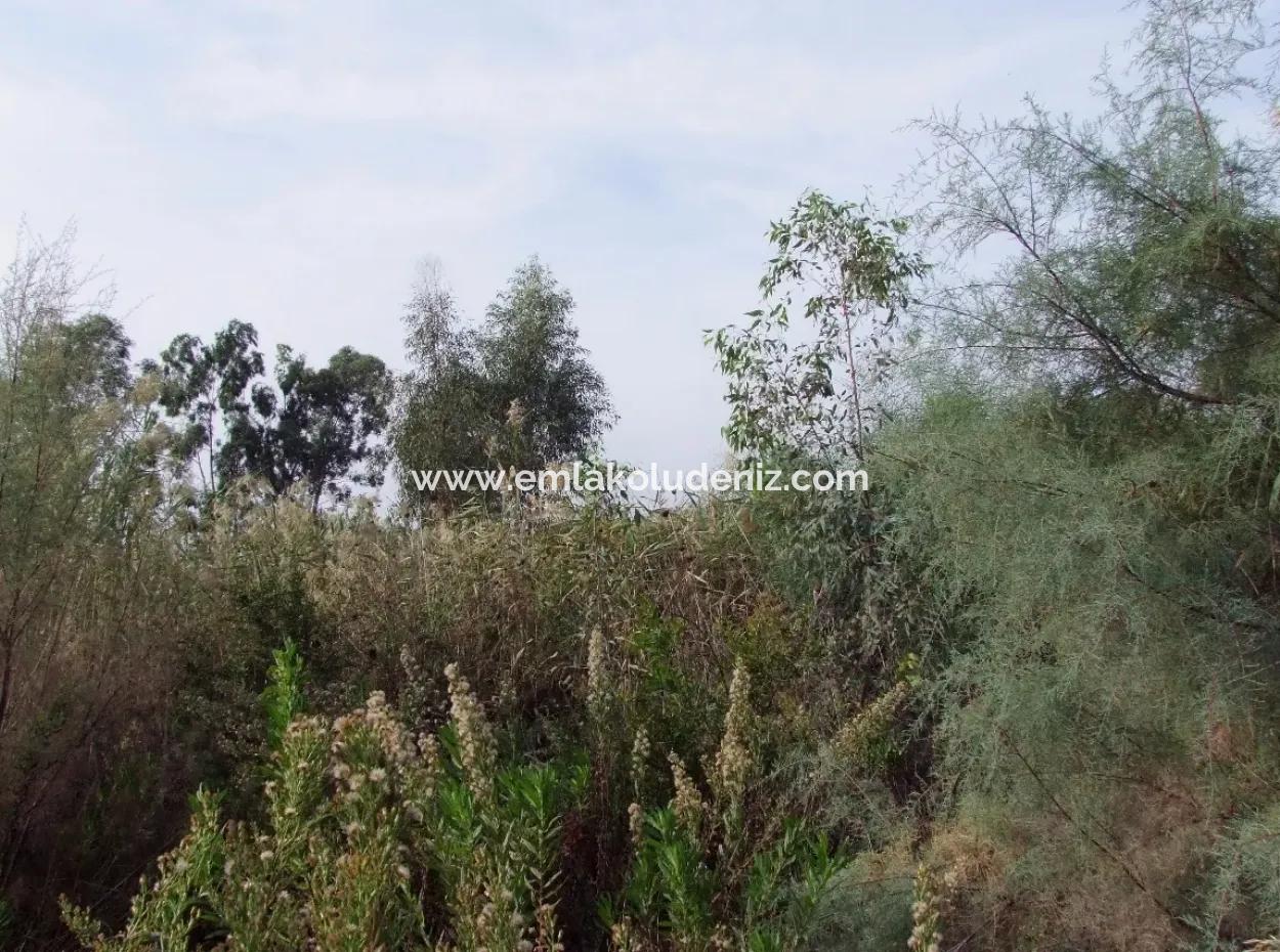 For Sale Land In Dalyan For Sale Dalyan Channel Zero