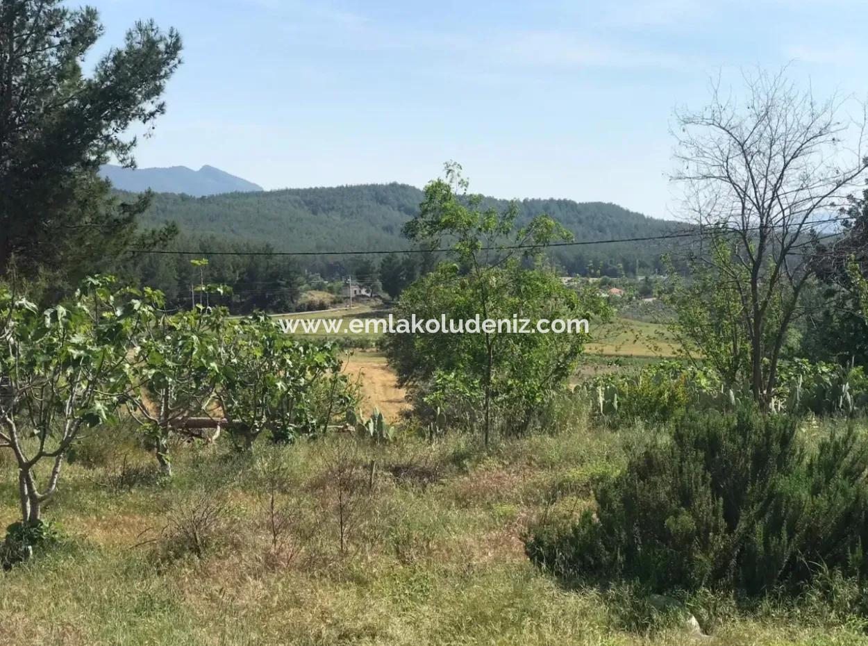 Land For Sale In Seydikemer Korubuku 76000M2
