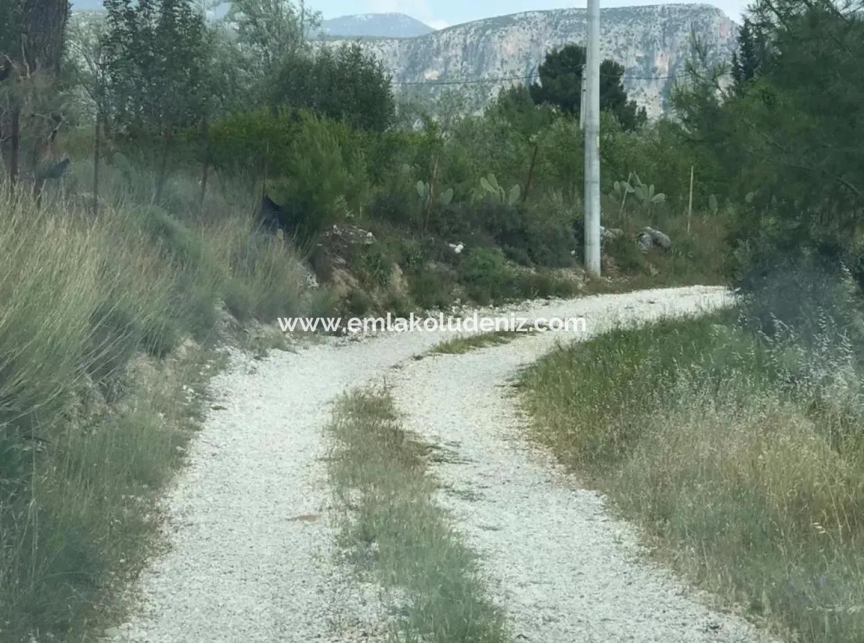 Land For Sale In Seydikemer Korubuku 76000M2