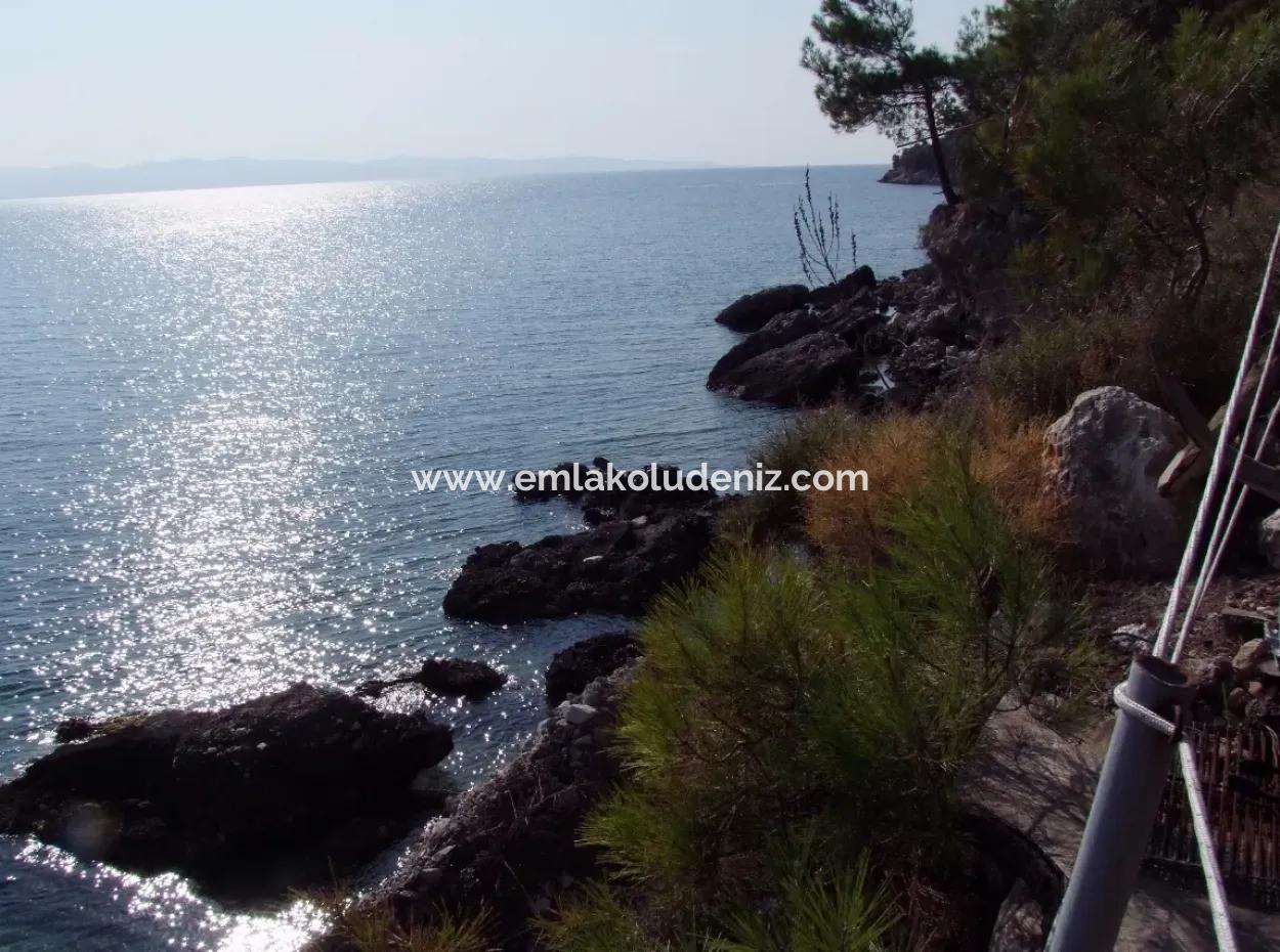 Beachfront Bungalow For Sale In Akbuk By The Sea In A Plot Of 800M2 Villa For Sale Turnalı