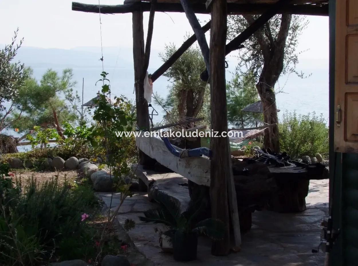 Beachfront Bungalow For Sale In Akbuk By The Sea In A Plot Of 800M2 Villa For Sale Turnalı