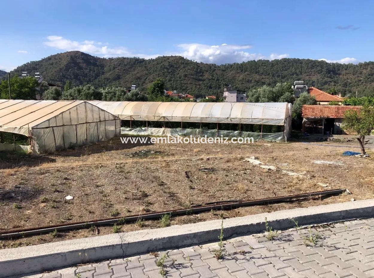 Oriya 560 560 Sq Ft Plot For Sale Commercial Land Main Road For Sale Eksiliyurt Zero