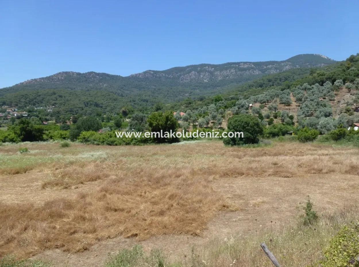 2300M2 Land For Sale Near The Center Of The Land For Sale