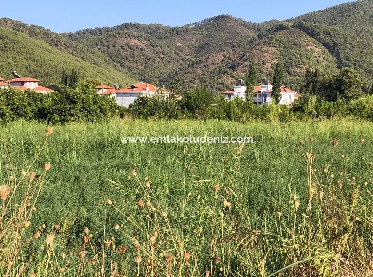 Land For Sale In The Center 891M2 Land For Sale