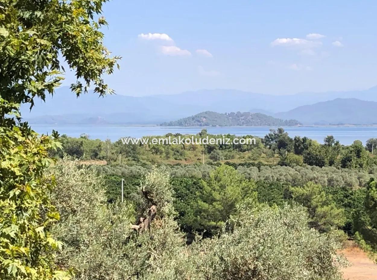 Land For Sale In Sultaniye 2285M2 Land For Sale Near The Lake