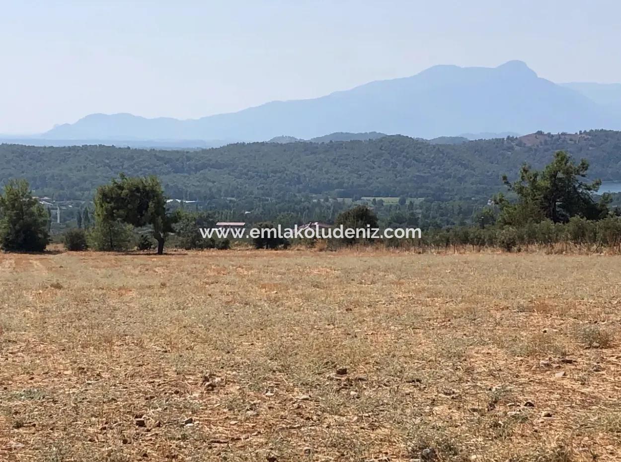 11.227M2 Land For Sale With Lake Views In Köyceğiz Zeytinalanı