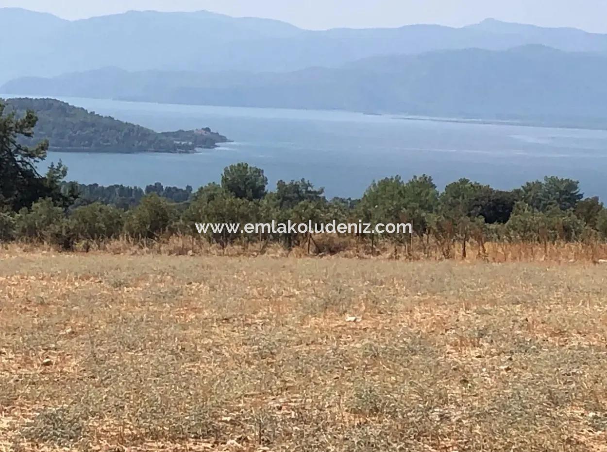 11.227M2 Land For Sale With Lake Views In Köyceğiz Zeytinalanı