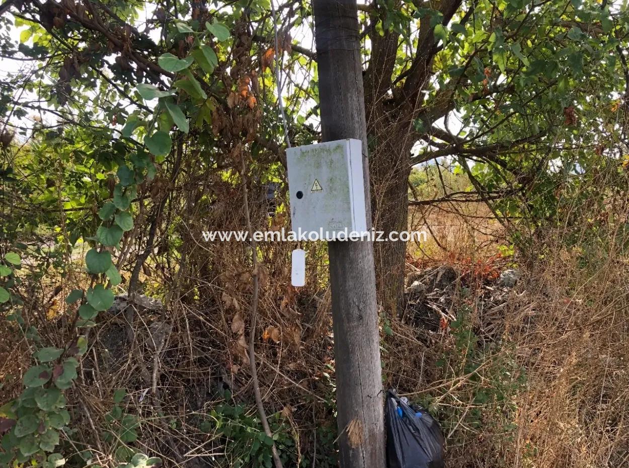 Land For Sale In Esköy 8500M2 Field Land For Sale