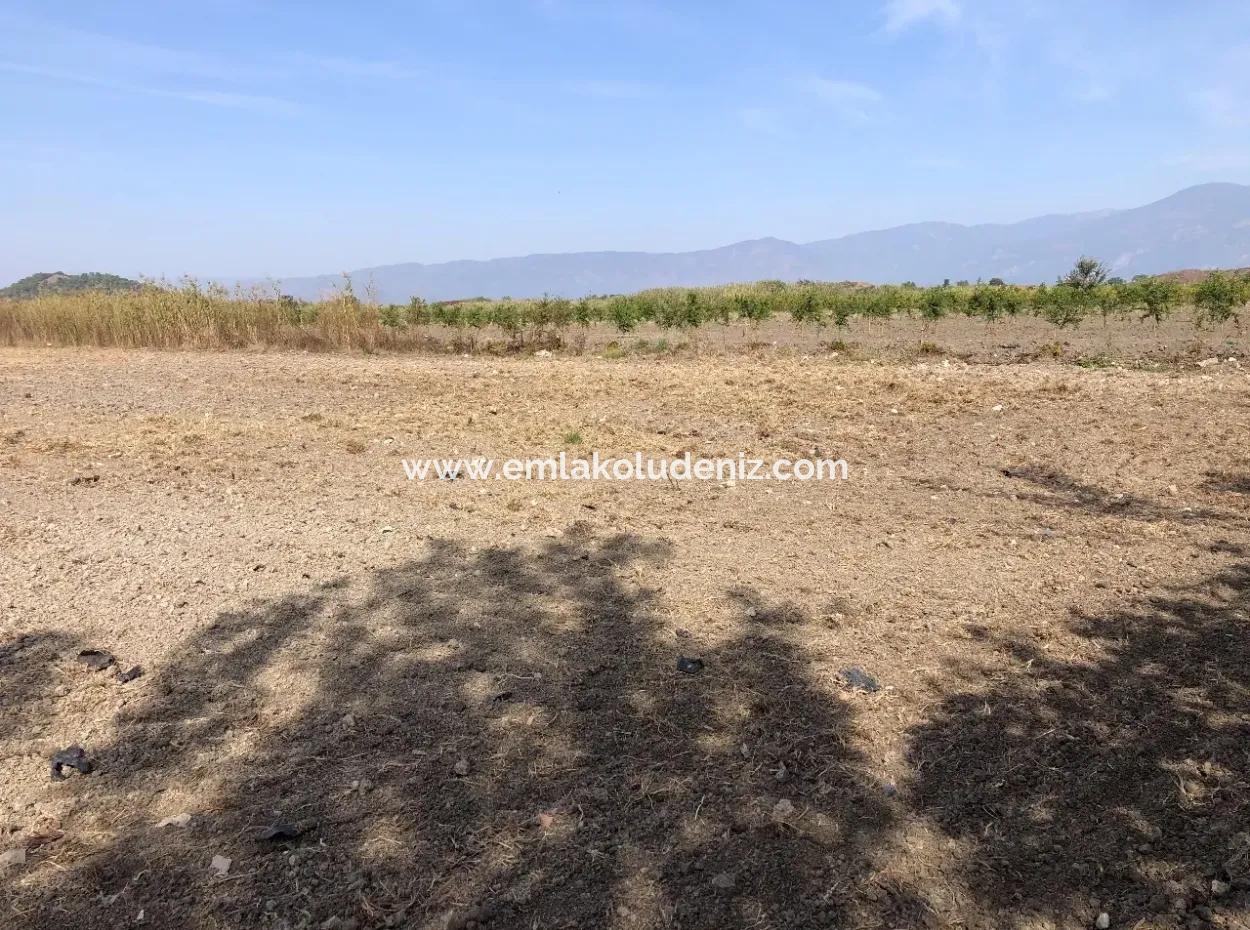 Land For Sale In Esköy 8500M2 Field Land For Sale