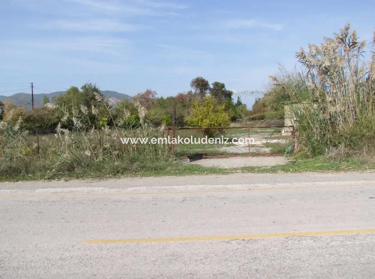 Land For Sale In Guzelyurt Land For Sale Zero 5515M2 Land For Sale On The Main Road