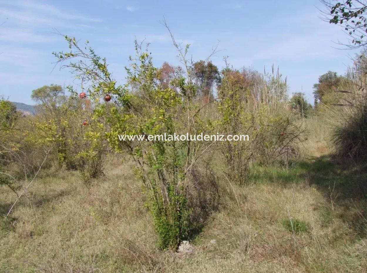 Güzelyurt Land For Sale Village Built 6670M2 Land For Sale