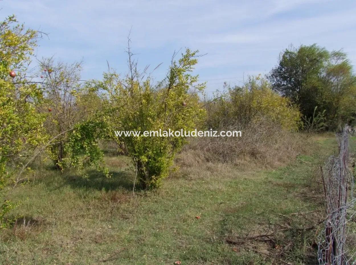 Güzelyurt Land For Sale Village Built 6670M2 Land For Sale