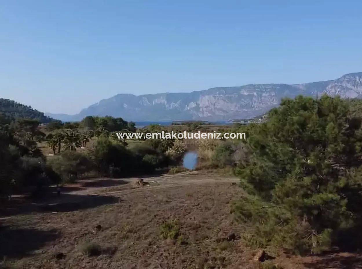 Land Land For Sale In Çamlıda Marmaris Çamlıda Sea View 11720M2 Land For Sale