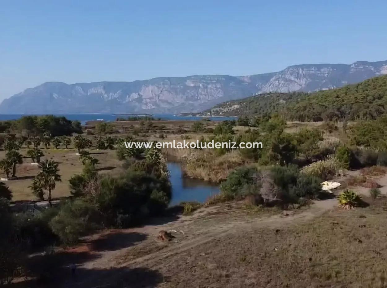 Land Land For Sale In Çamlıda Marmaris Çamlıda Sea View 11720M2 Land For Sale