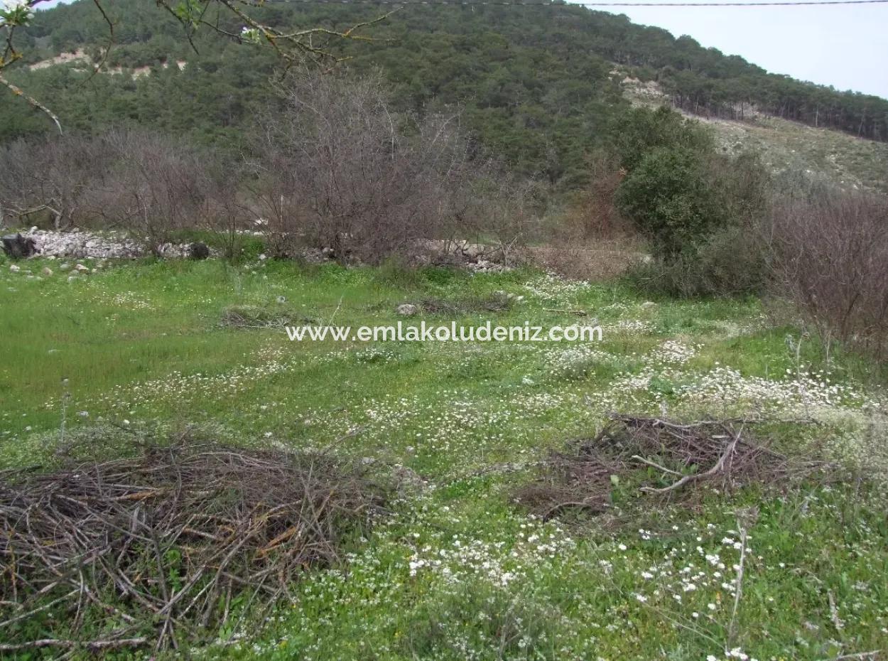 In Incirkoy Uzumlu Fethiye Plot For Sale Farm For Sale In Incirkoy