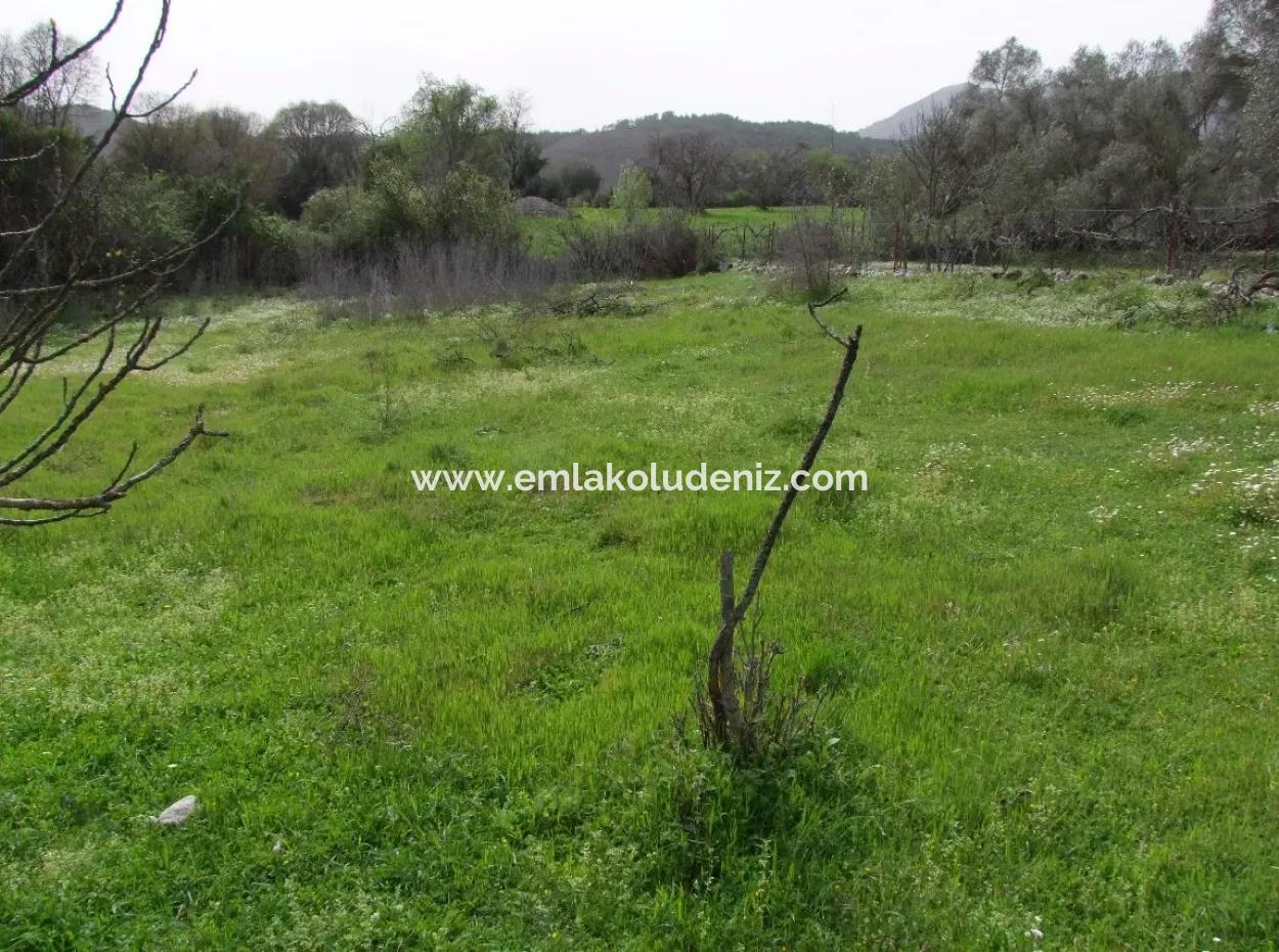 In Incirkoy Uzumlu Fethiye Plot For Sale Farm For Sale In Incirkoy