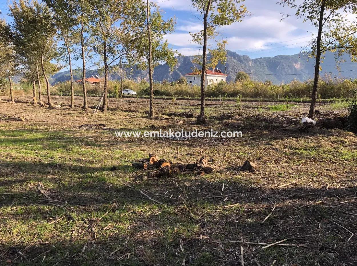 Land For Sale In Dalyan 2540M2