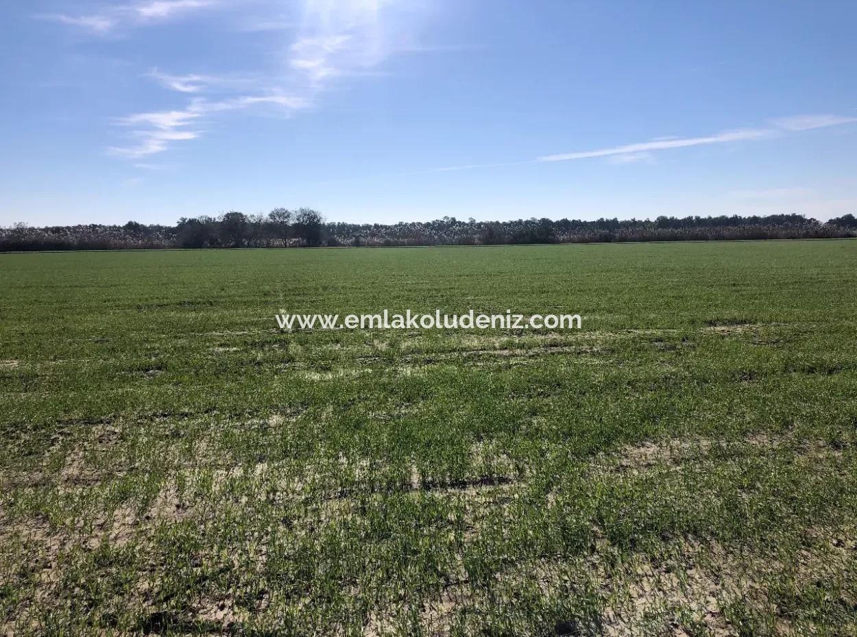 Land For Sale In Sarıgermede 30,000M2 Land For Sale With Sea View