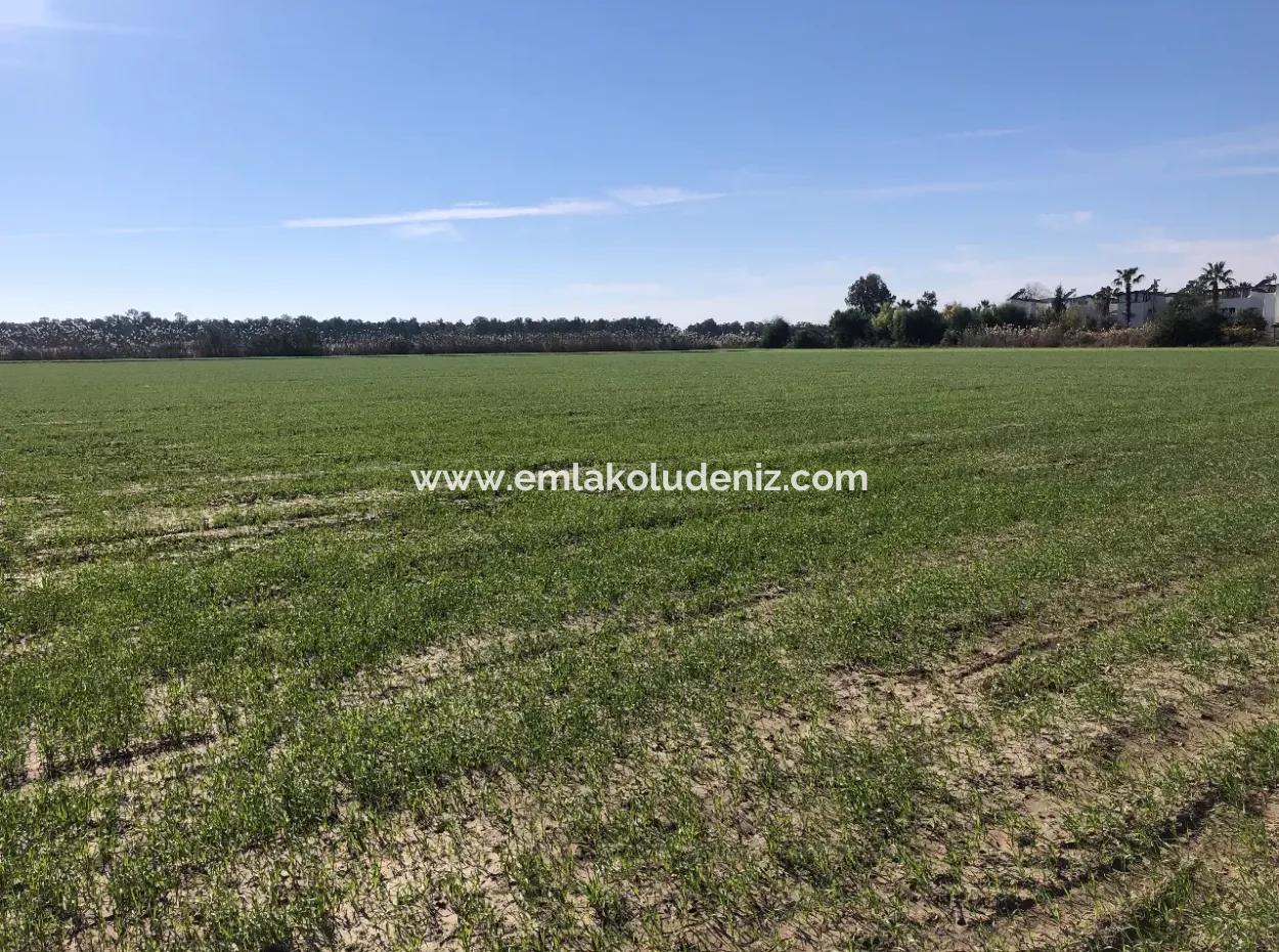 Land For Sale In Sarıgermede 30,000M2 Land For Sale With Sea View