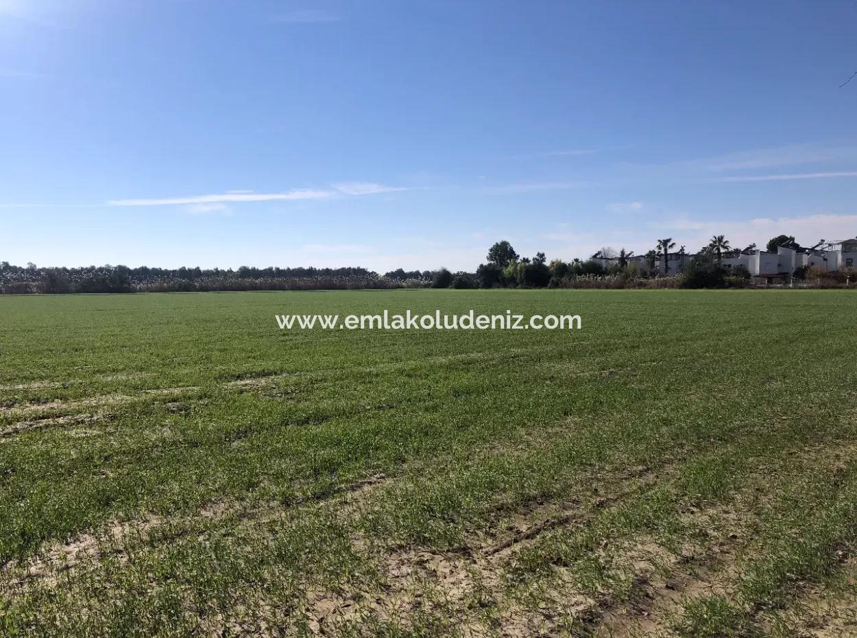 Land For Sale In Sarıgermede 30,000M2 Land For Sale With Sea View