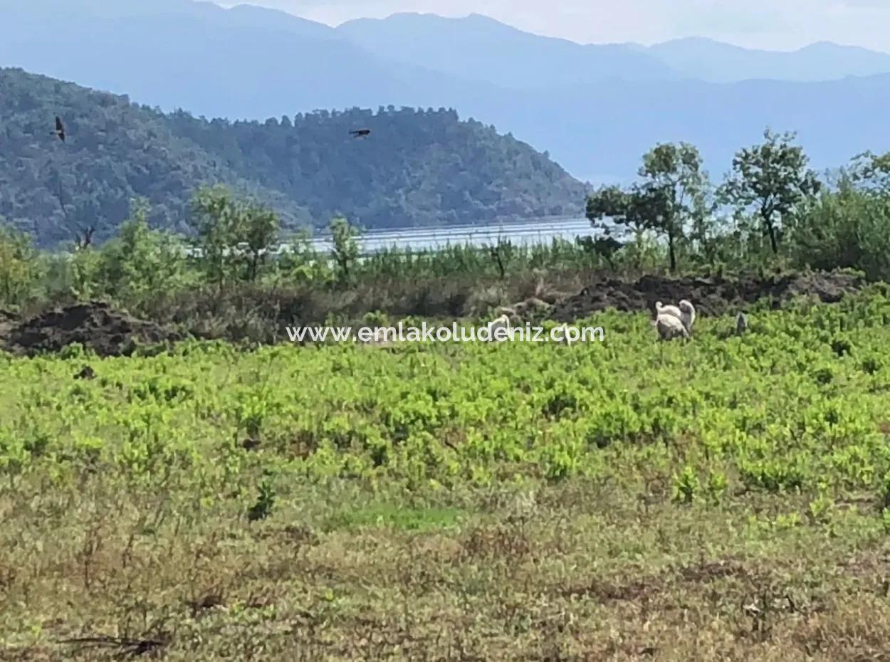 Sultaniye Sultaniye Koycegiz Lake Plot For Sale For Sale In By The Sea