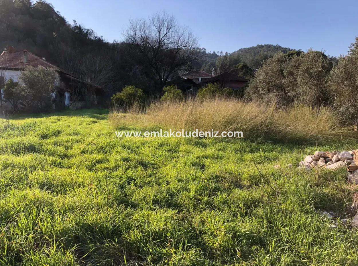 777M2 Land For Sale In Ula Sarayyanı