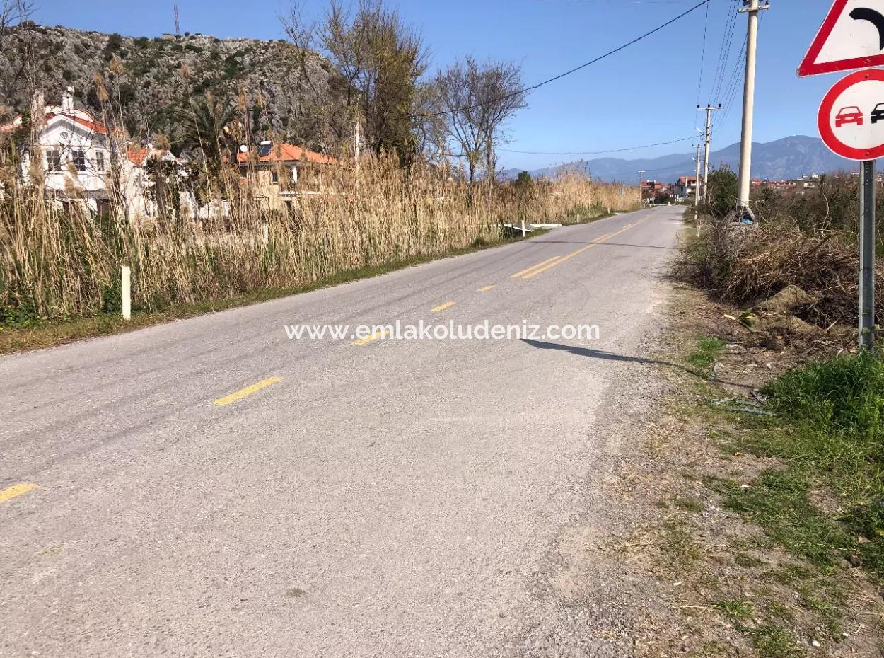5500M2 Land For Sale In Dalyan