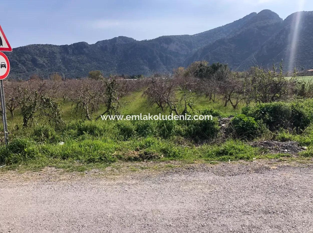 5500M2 Land For Sale In Dalyan