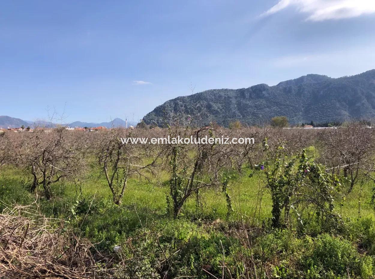 5500M2 Land For Sale In Dalyan