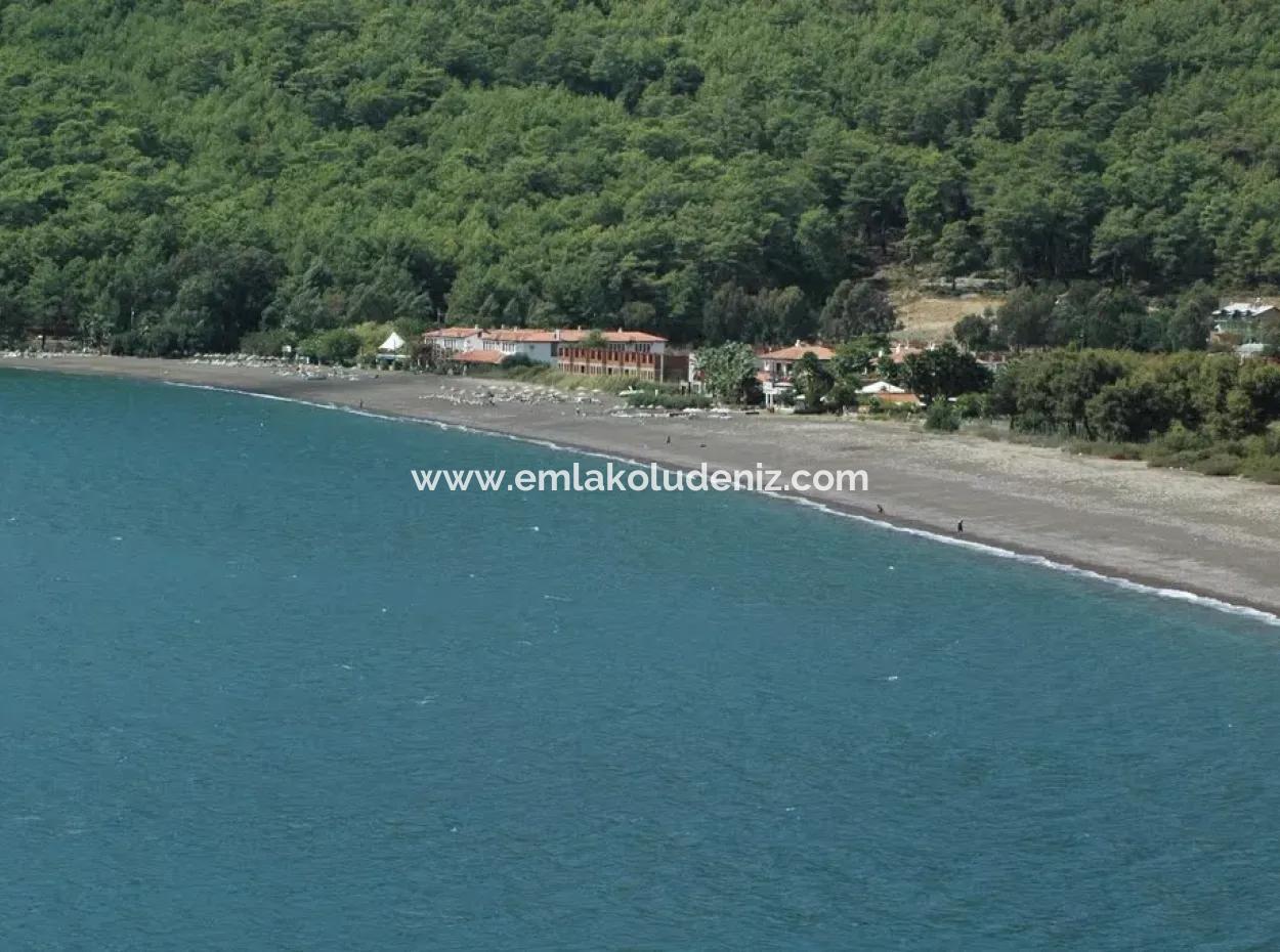 Ekincik Land For Sale Very Close To The Sea 2000M2 Land For Sale