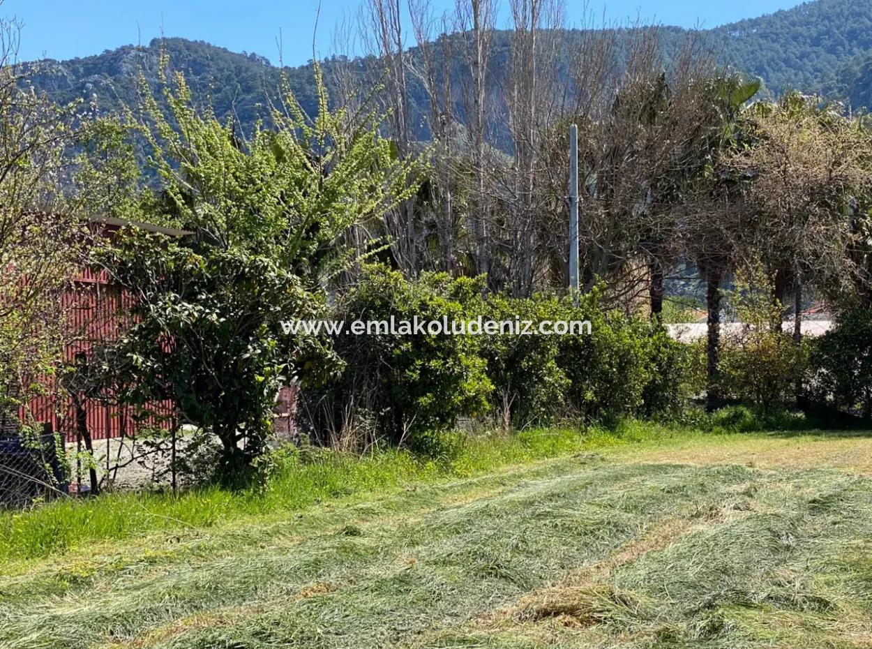 3700M2 Land For Sale In Dalyan