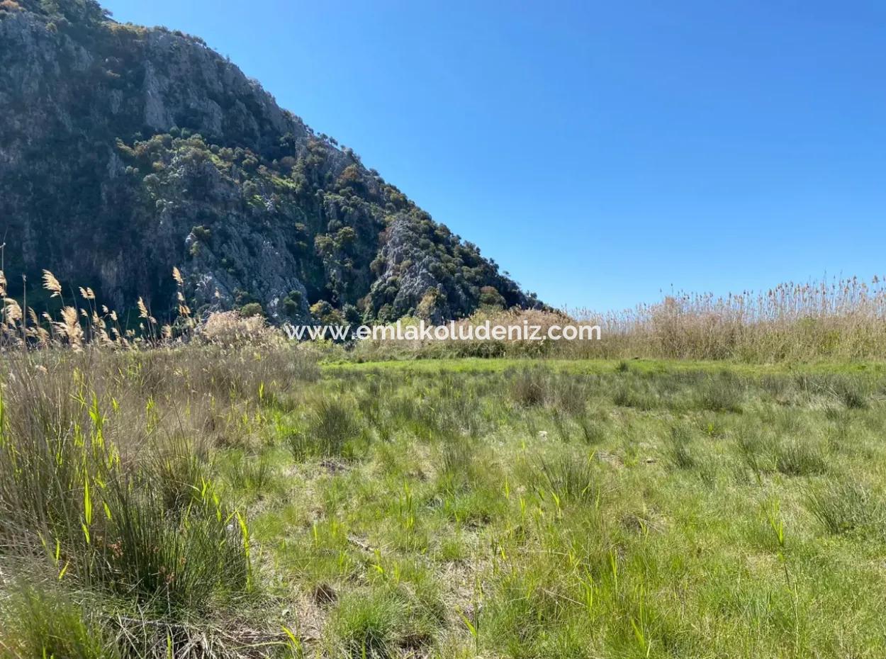 9310M2 Land For Sale In Dalyan