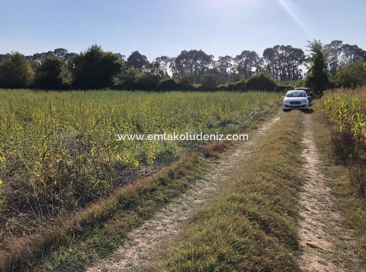 For Sale In Akçapinar 100 Acres For Sale