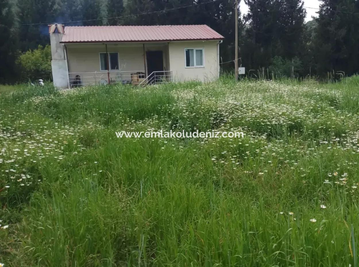 Land For Sale In Çamlida