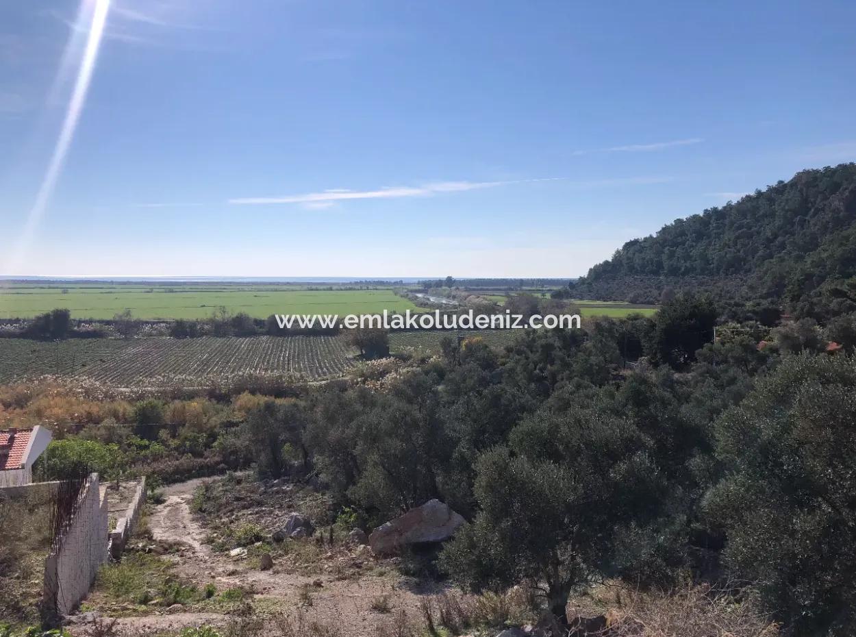 Land For Sale With Sea View Of Fevziye
