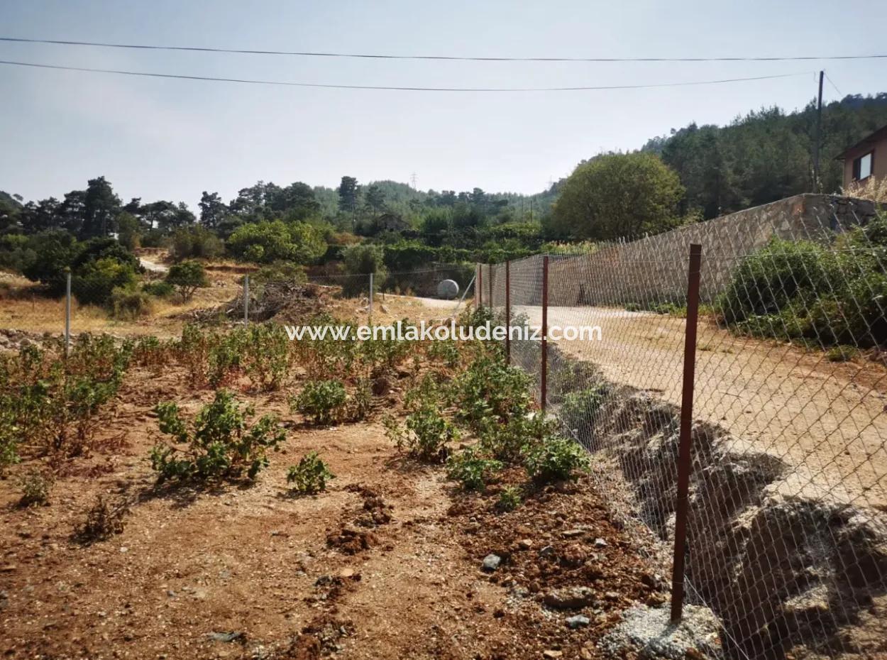 1245M2  Land For Sale In Marmaris Çamlı