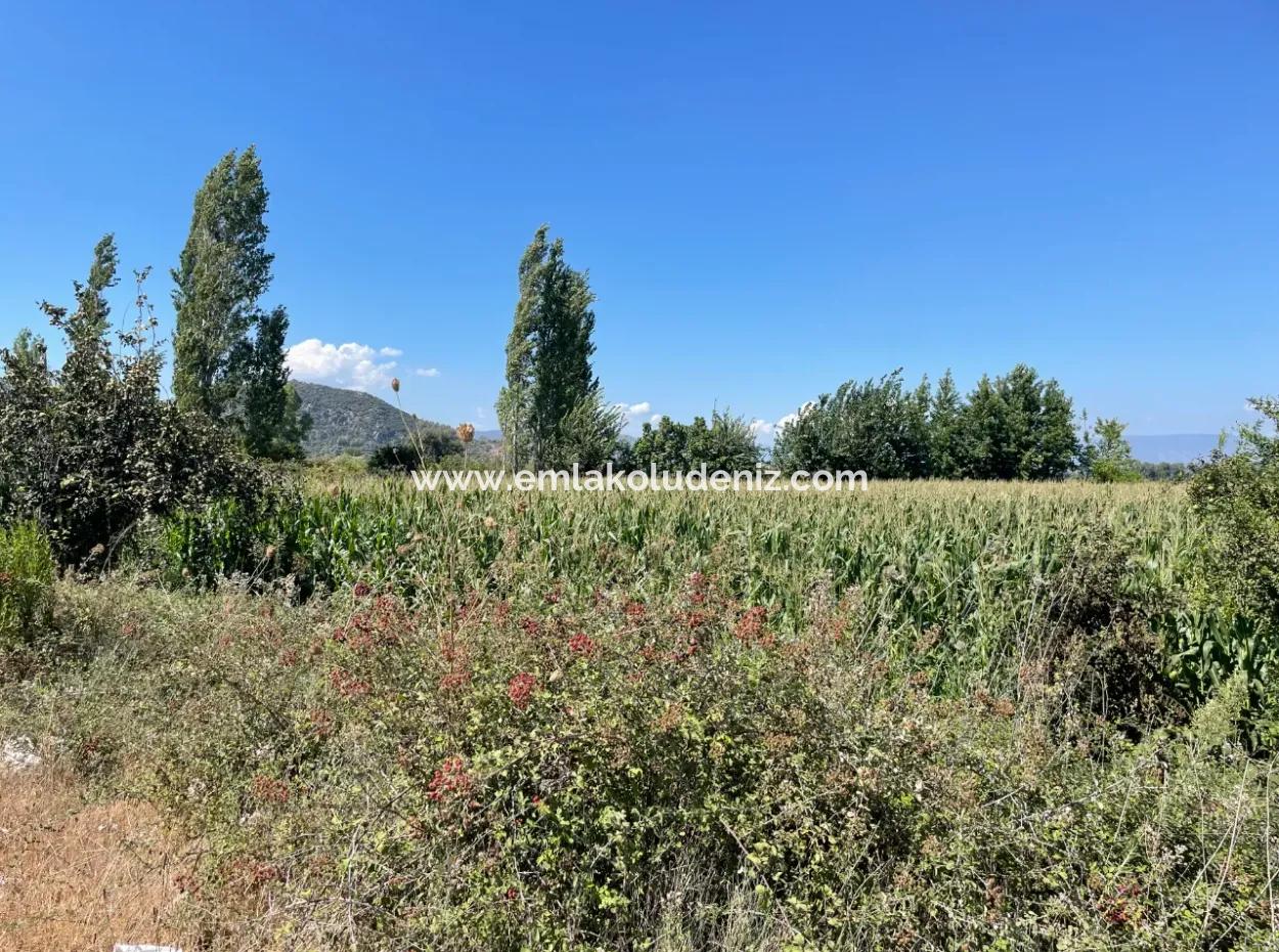 Dalyan Main Road Zero Land For Sale 8115M2 Commercial Land For Sale