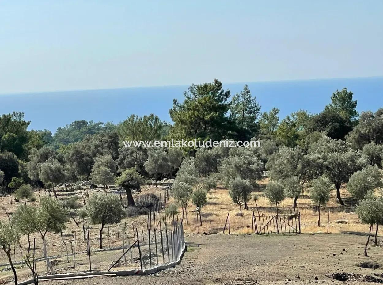 Land For Sale With Sea View Of Çandir