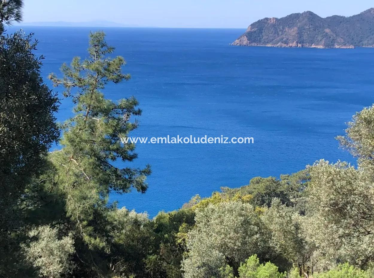 Land For Sale With Sea View Of Çandir