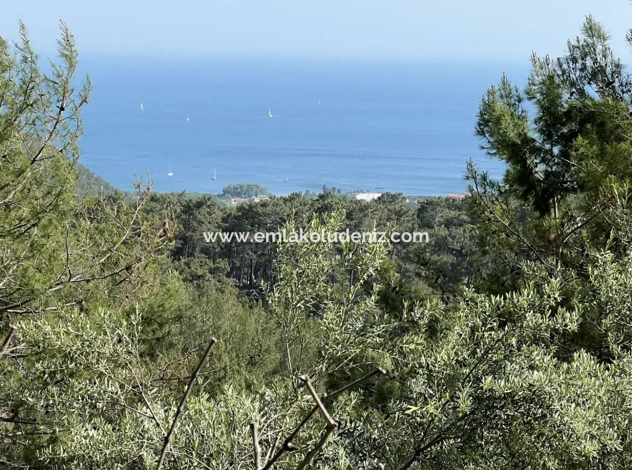 Detached House For Sale With Ekincik Sea View