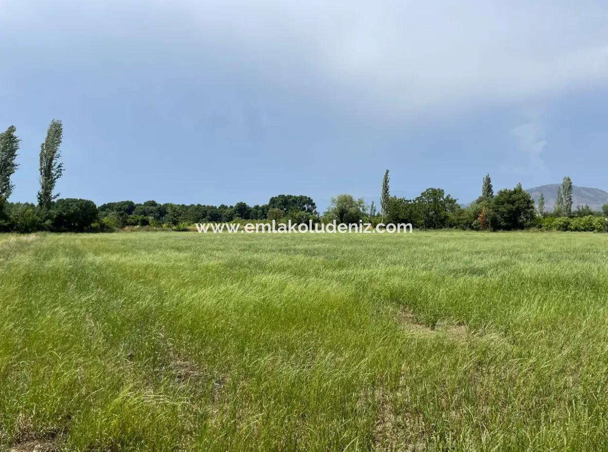 4595M2  Land For Sale In Okçular Marmarlı
