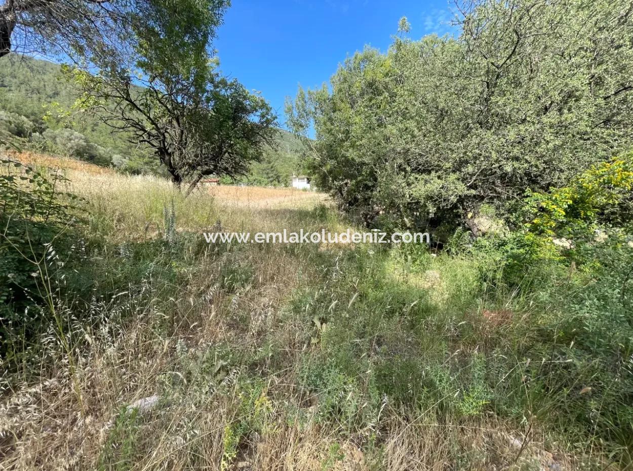 Land For Sale In Ula Armutchuk With 501M2 Zoning