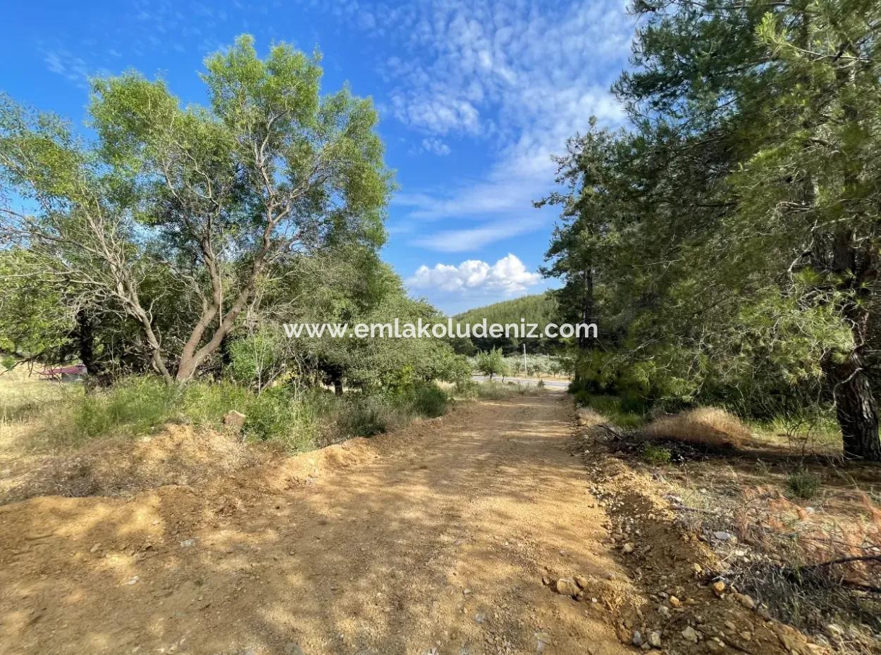 Land For Sale In Ula Armutchuk With 501M2 Zoning