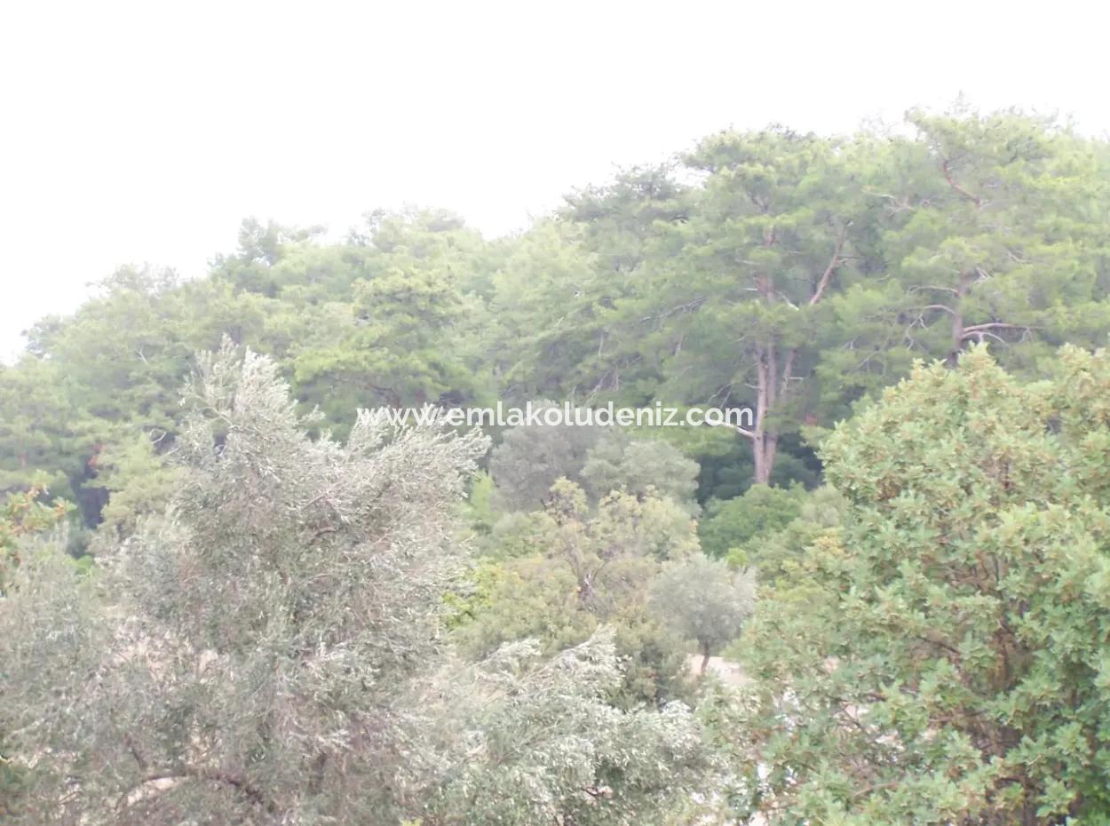 House For Sale In Sarsalada Sea View 4274M2 Plot